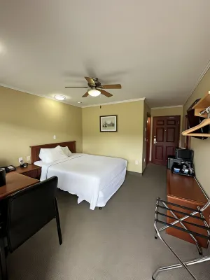 Travellers Inn Fredericton NB Hotels in 