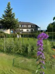 Boutique Hotel Pohorje Hotels in Visole