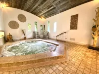 Hôtel le Roi Théodore & Spa - spa