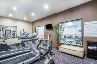 Holiday Inn Express & Suites Albany Airport - Wolf Road