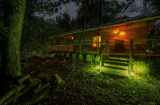 Matumi Trail Forest Lodges - Matumi and Mitzeeri