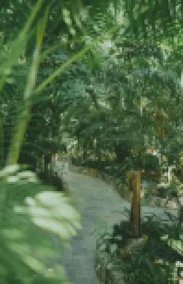 The Wooden Gate