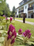 Gästehaus Falkenhof - que admiten mascotas