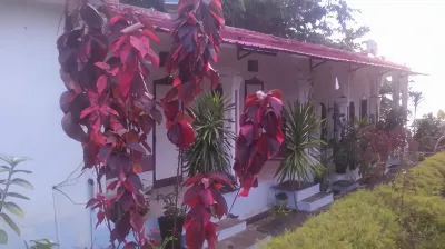 酒店樂蘇丹 酒店