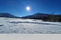 1-room apartment with mountain view on the ski slope with WiFi, Netflix, Prime Hotel a Balderschwang