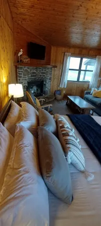 Riverfront Blue Heron Cabin on the Kings River Отели в г. Carroll County