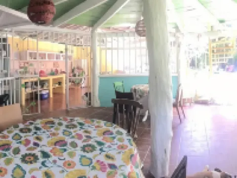 Madre Selva Jungle Hostel Hotels in Cocles