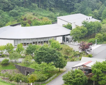 Higashiyama Onsen Maple Plaza Hotels in Shiso