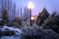 Kosmos Hotel Hotels in Staryy Oskol