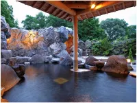 Hotel Green Plaza Karuizawa - Hot Springs
