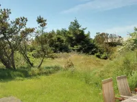 "Tofi" - 400m from the Sea