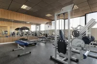 Havana Palace Hotel Hotels in Uberaba