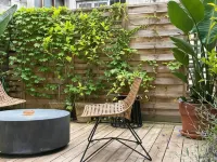 卡薩布蘭卡住宿加早餐旅館