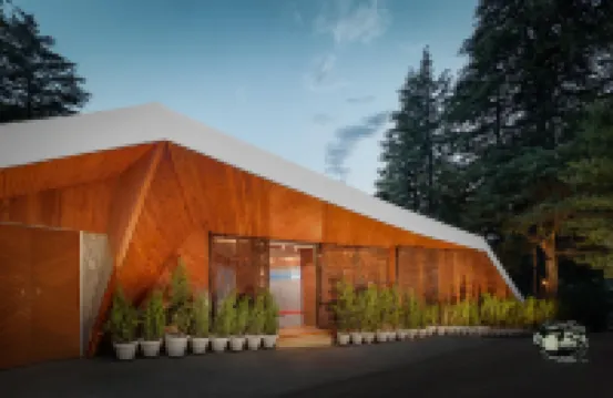 Tree of Life Eila Art Hotel