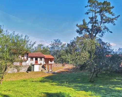 THE OLD WOMAN'S HOUSE Hotele w: Nava