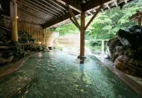 Yunishigawa Onsen Honke Bankyu - parking