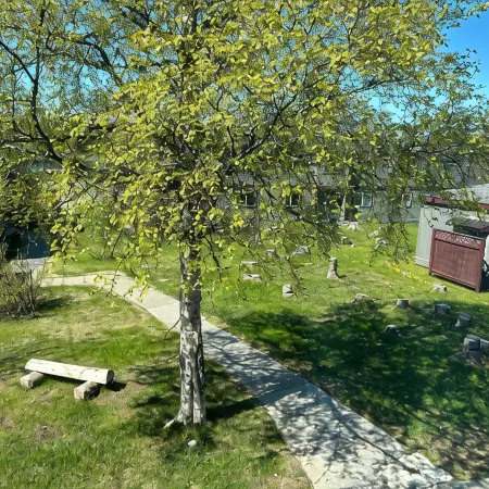 1 MILE TO BEACH ACCESS, MOUTH  OF KENAI RIVER!
