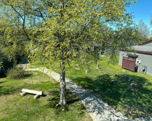1 MILE TO BEACH ACCESS, MOUTH  OF KENAI RIVER! Hotels in Kenai
