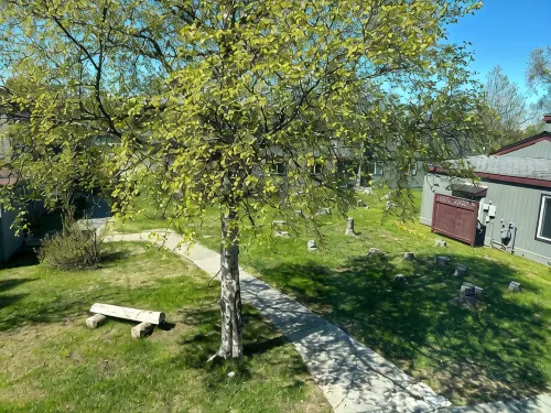 1 MILE TO BEACH ACCESS, MOUTH  OF KENAI RIVER!