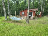 Lucky Bear Lodge. Secluded Cabin in the Woods, Beach Access. Pet Friendly