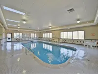 Comfort Suites Near Route 66 - Pool