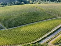 Le Scuole B&B - by ColleMassari Hospitality Hotels in Cinigiano