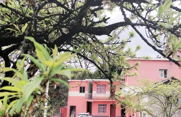 百里杜鵑勤和旅館