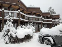 Steps to Gondola • Mountain Views • Private Parking • Aspen Core 2BR •  Sleeps 6
