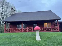 Country style log cabin on private 4 acres lot minutes from downtown Saratoga - Wi-Fi