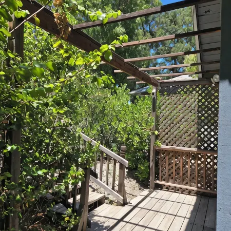 Peaceful retreat in the woods close to town