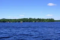 House in exceptional condition on Thomas Pond - Homestays