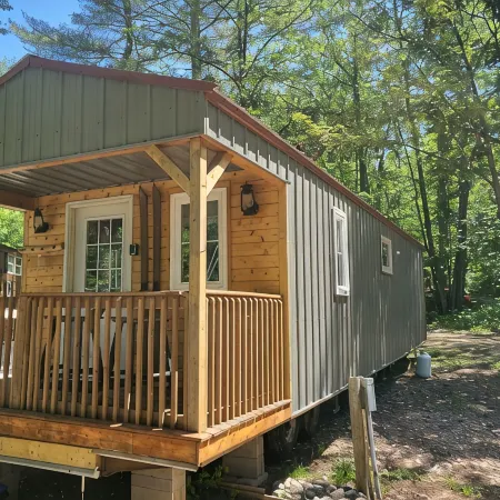 Tiny cabin in towering pines, with lake view. Pets accepted!
