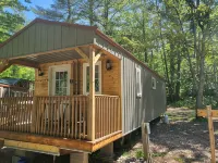 Tiny cabin in towering pines, with lake view. Pets accepted! - シャレー