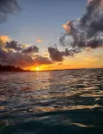 Beach Front Villa - Homestays