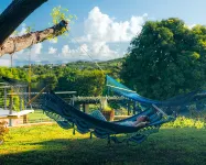 Tiny house on an acre with ocean view and private infinity pool.