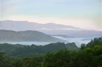 Daintree Valley Cottage