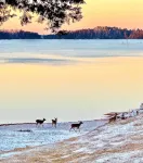 Beautiful villa on Lake Hartwell, stunning views, large deck for family to enjoy - 4-Star