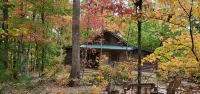 Cozy Cabin on 11 acres w/ Lake&Mtn Views. wifi, great cell svc moderated AC.