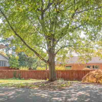 Renovated 3 bed/2.5 bath with fast wifi & 100" projector near the BIG HOUSE! Hotel Exterior