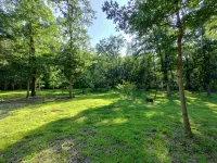 Rustic 2-bedroom cabin next to 1000+ acre Conservation area near Mark Twain Lake - Homestays