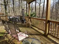 Relax among the palms at Reeled Inn on Beautiful Lake Gaston