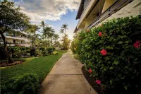 Oceanfront Condo Complex on Alii 1 bdrm,, Salt,Freshwater Pools Newly renovated - 4-Star