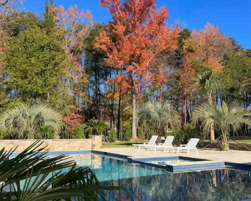 Stunning 4 Bed House Perfect for Nature Lovers Hotels in Steele Creek