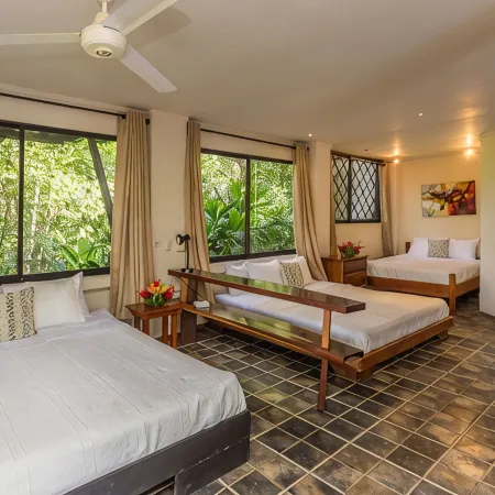 Incredible Tropical Retreat Full of Monkeys, Sloths, Toucans and much more