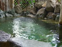 Sawatari Onsen Miyataya Ryokan - con terme
