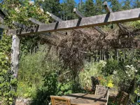 Bright art-filled home, fruit trees, valley view 로페즈 아일랜드 호텔