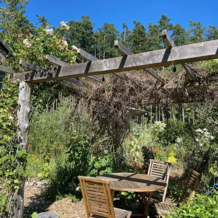 Bright art-filled home, fruit trees, valley view