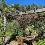 Bright art-filled home, fruit trees, valley view