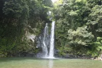 Nashikisou
