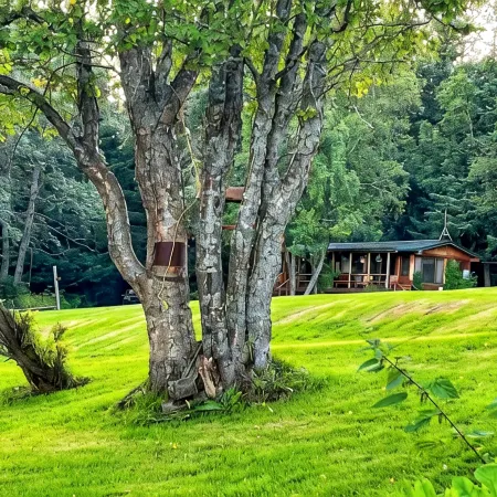 Moose Twin Cabins.